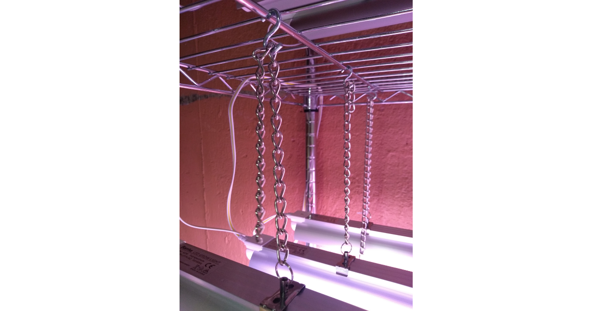 Hanging system for grow light. S-hook linking chain to shelf. Chain hooked into bracket attached to light. 