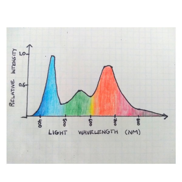 Light spectrum graph