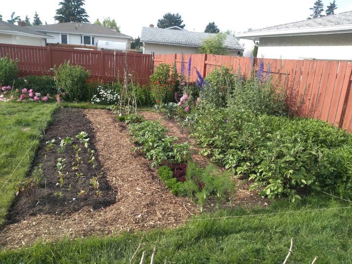 Vegetable garden with three beds and mulched paths.