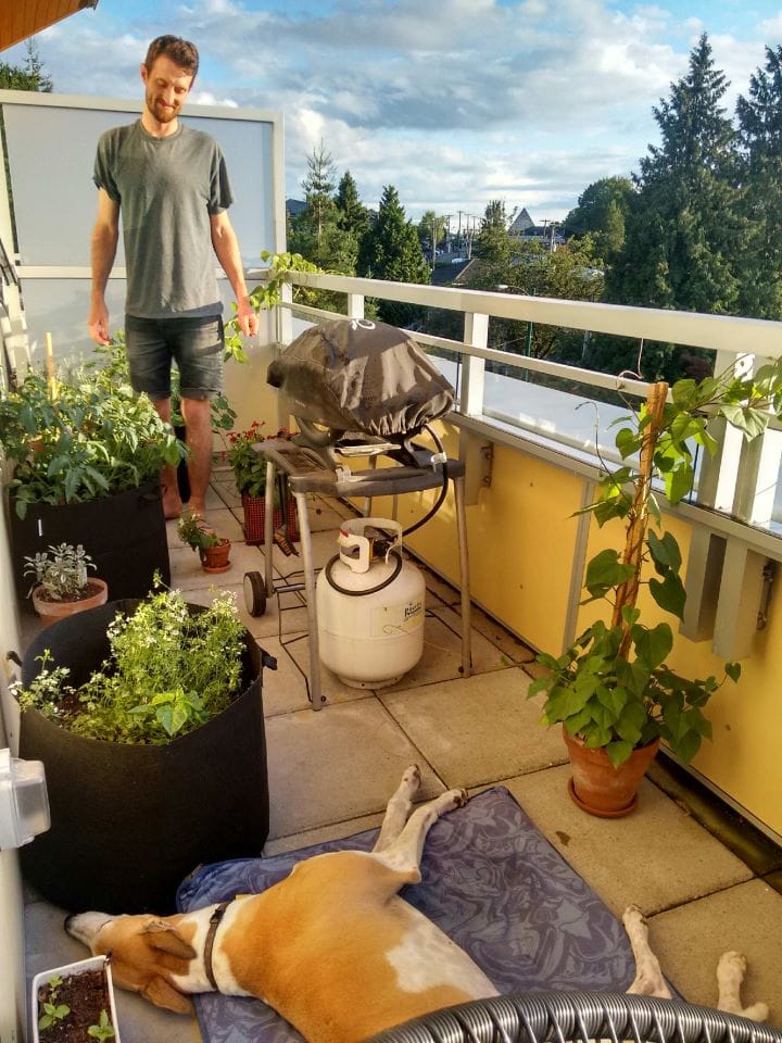 Man standing on balcony surrounded by plants. A dog lies on a bed between the plants.